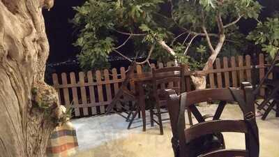 Foto 68790453