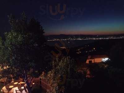 Foto 68790459