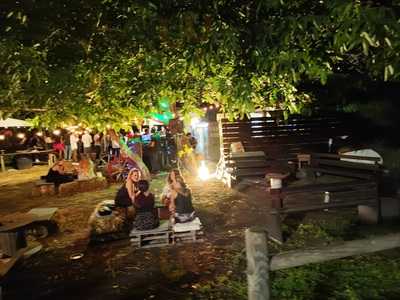 Foto 68834769