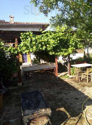 Foto 68844987