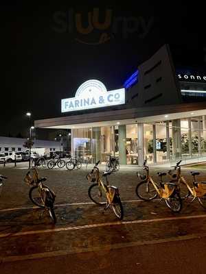 Foto 68313192