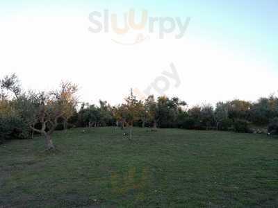 Foto 68313647
