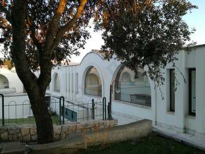 Foto 50155026