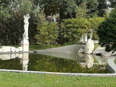 Foto 50155081