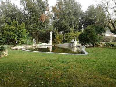 Foto 50155084