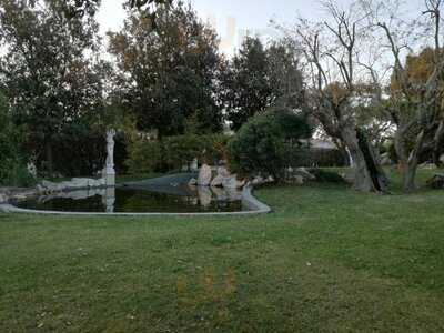 Foto 50155097