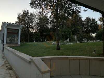 Foto 50155103