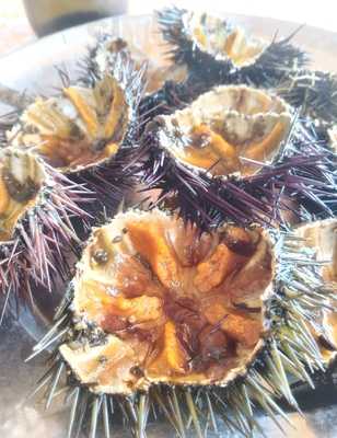 Foto 62379177