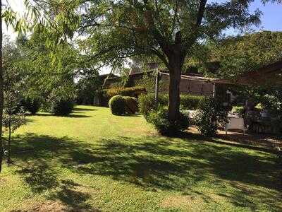 Foto 49258121