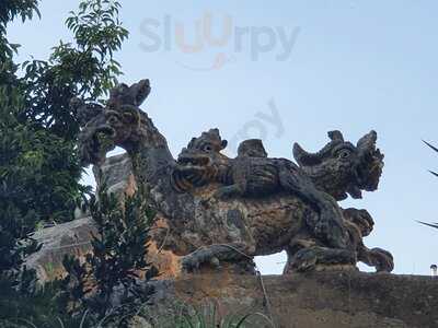 Foto 50189262