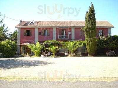 Foto 49075127