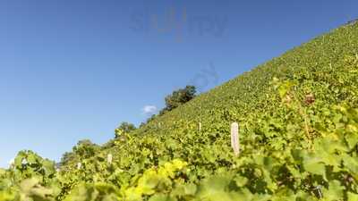 Foto 59831077