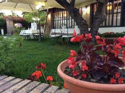 Foto 50273213