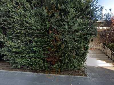 Foto 60821193