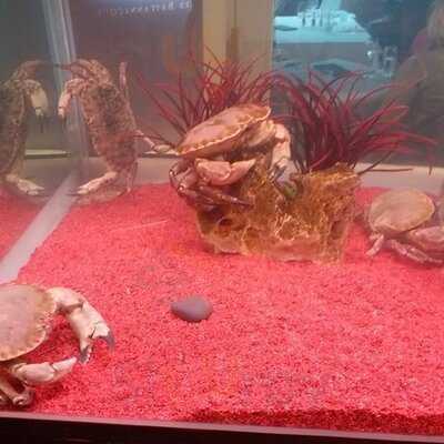 Brasserie La Lorraine