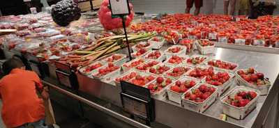 Les Comptoirs Du Goût