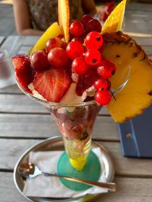 Van Der Poel Wilminkplein