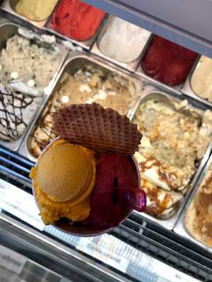 Van Der Poel Wilminkplein