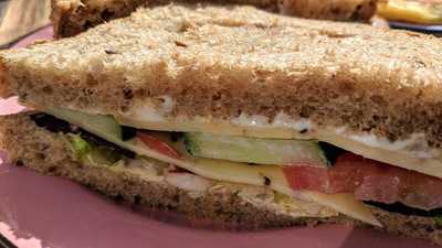 The Blueberry Amersfoort-noord