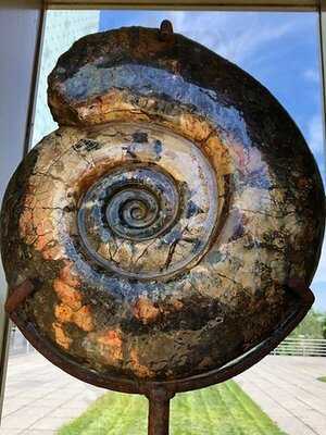 Ammonite Club Restaurant