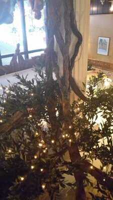 Griekse Bistro Restaurant Olympic