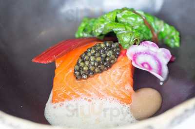 Cottontree City By Dimitri