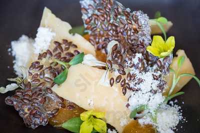 Cottontree City By Dimitri