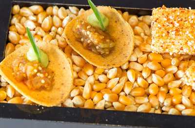 Cottontree City By Dimitri