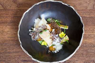 Cottontree City By Dimitri