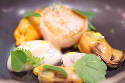 Cottontree City By Dimitri