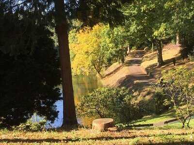 Cafe Restaurant De Boschvijver