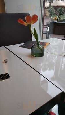 Doppio Espresso Delft