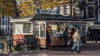 Stubbe's Haring