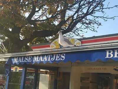 Haringkraam Buitenhof