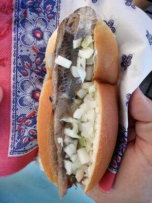 Haringkraam Buitenhof