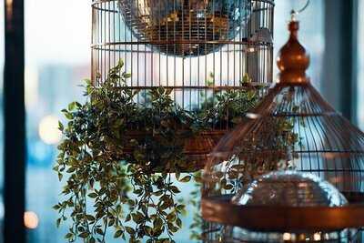 Foodbar De Paradijsvogel