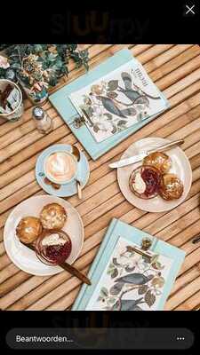 Bluebirds In The Backyard