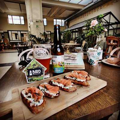 Bluebirds In The Backyard