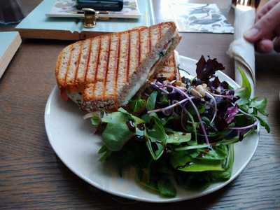 Bluebirds In The Backyard