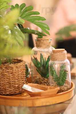 Bluebirds In The Backyard