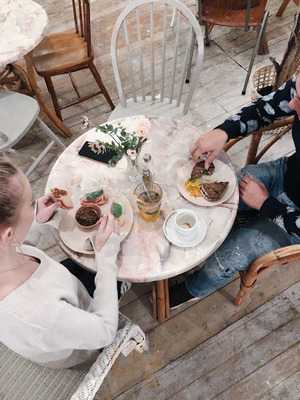 Bluebirds In The Backyard