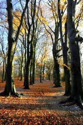 Brasserie Zonnestraal