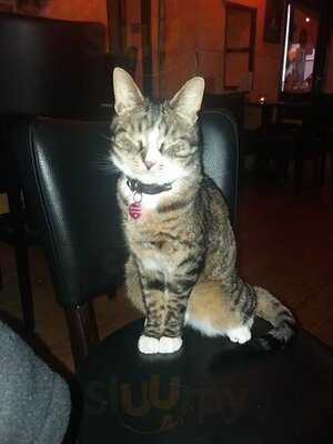 Tierney's Irish Pub & Restaurant