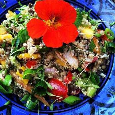 Rode Rozen En Taartjes