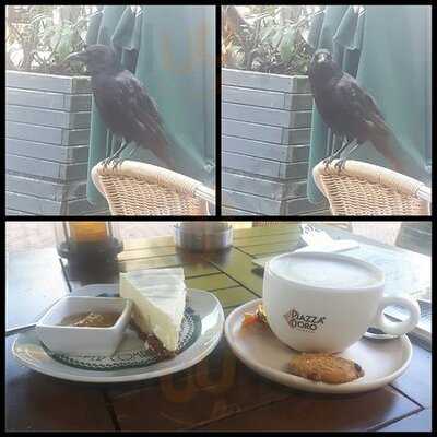 Louis Hartlooper Complex