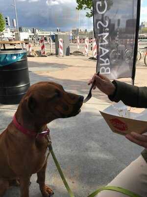 Bram's Gourmet Frites