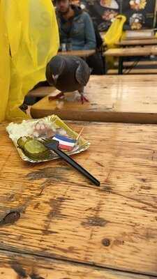 Vishandel Albert Cuyp