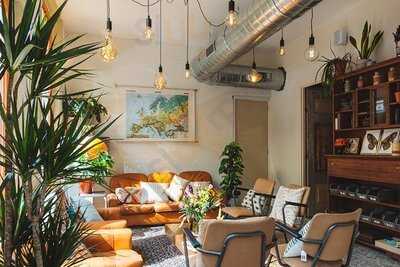 Wadapartja Westerhaven