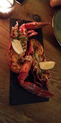 Barracuda Social Club