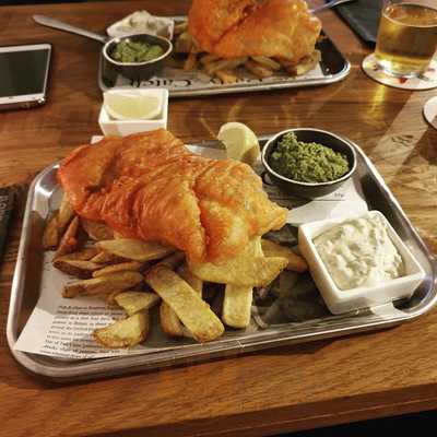 Barracuda Social Club